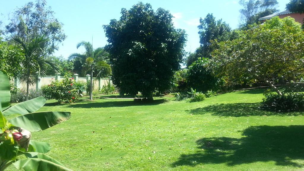 Pimento Lodge Port Antonio