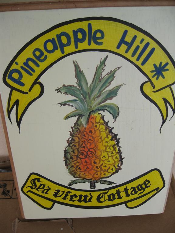 Pineapple Hill Sea View Holiday home Port Antonio