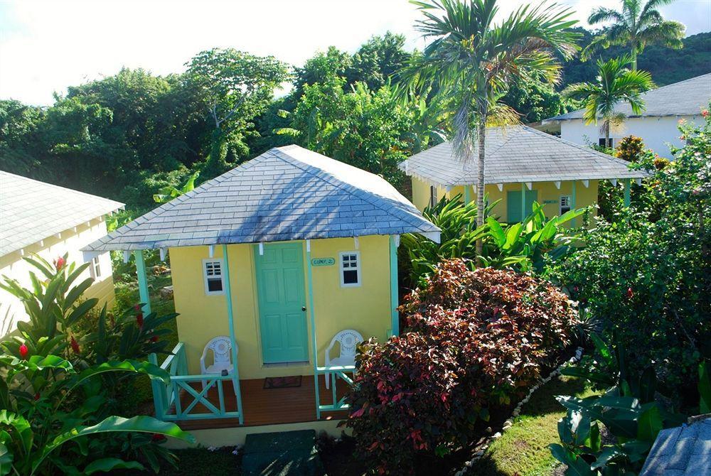Jamaican Colors 3*