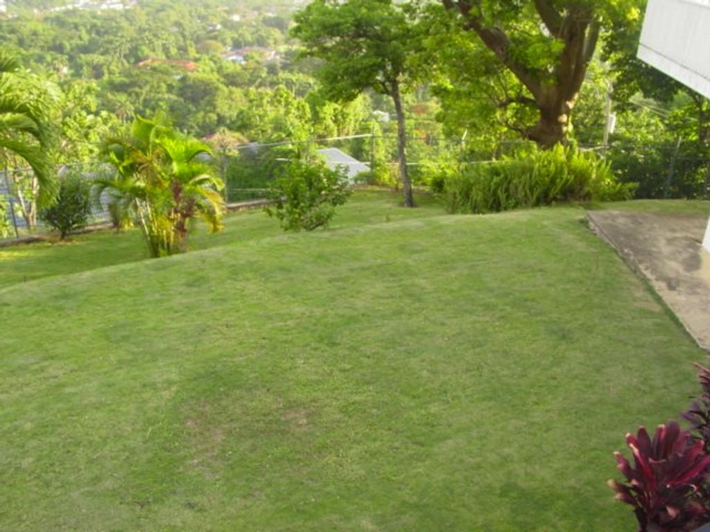 Hill Jamaica