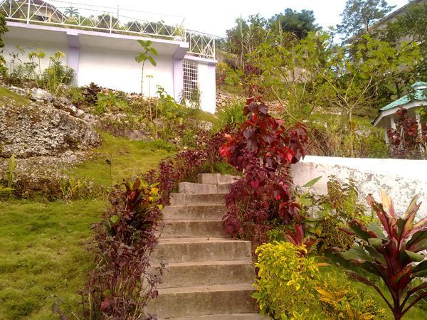 Guest house Treasure's Comfort 2*