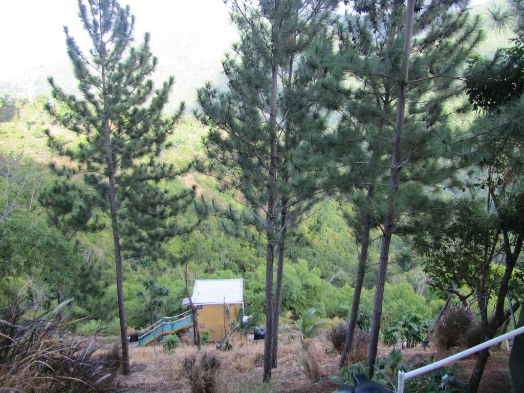 Lodge Blue Mountain Wilderness Retreat