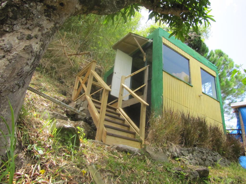 Blue Mountain Wilderness Retreat Port Antonio