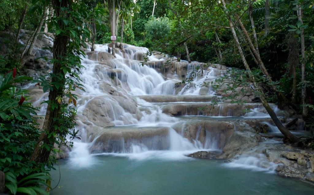 Guest house Villa Oasis Drax Hall *