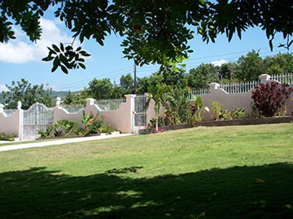 Celebrity Jamaica Guest house 3*