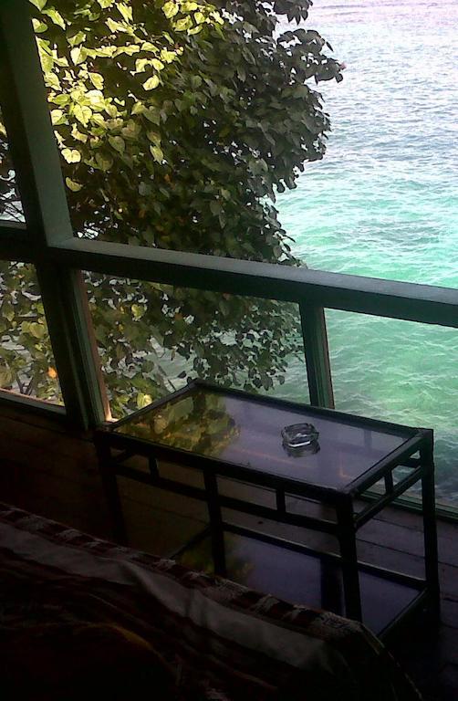 Sake Saint Ann's Bay