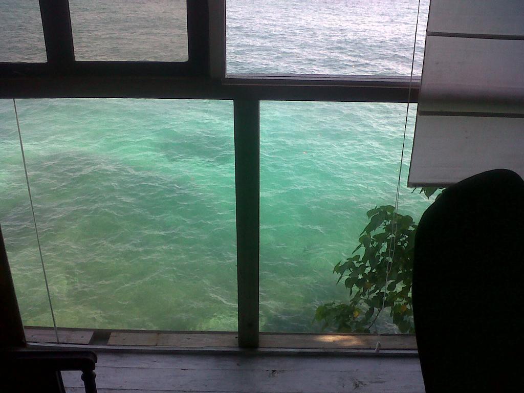 Sake Saint Ann's Bay