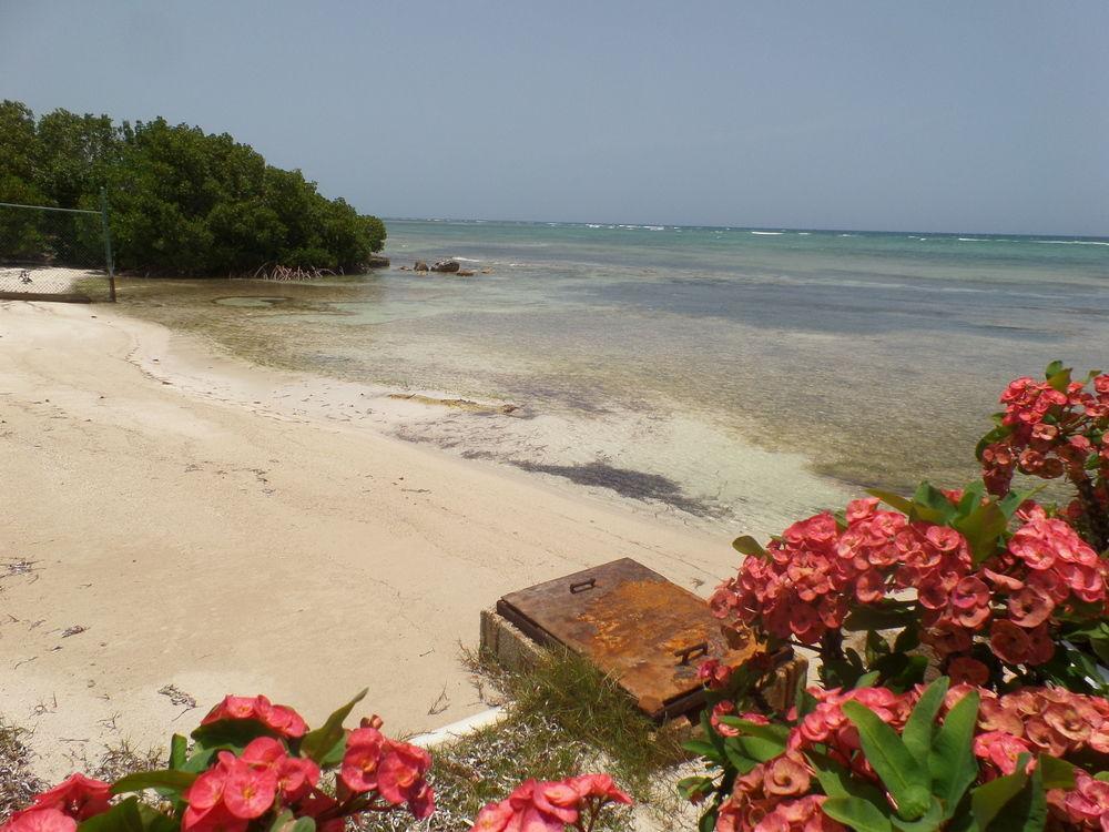 Hotel Reggae Reef 3*