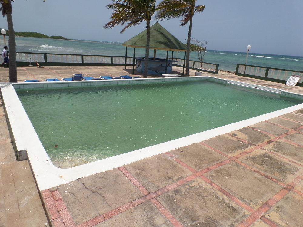 Reggae Reef