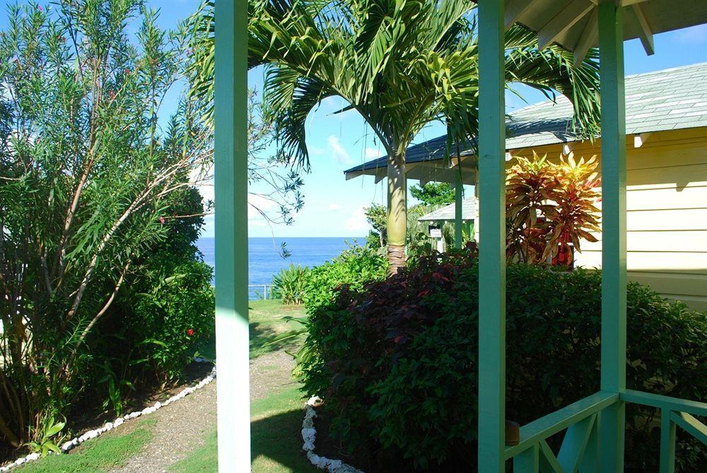 Hotel Jamaican Colors