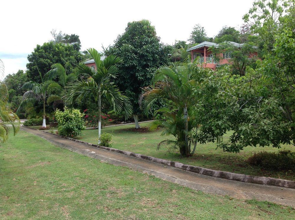 Pimento Lodge Port Antonio