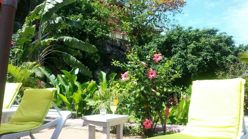 Pimento * Port Antonio