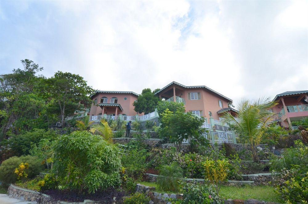 Pimento * Port Antonio
