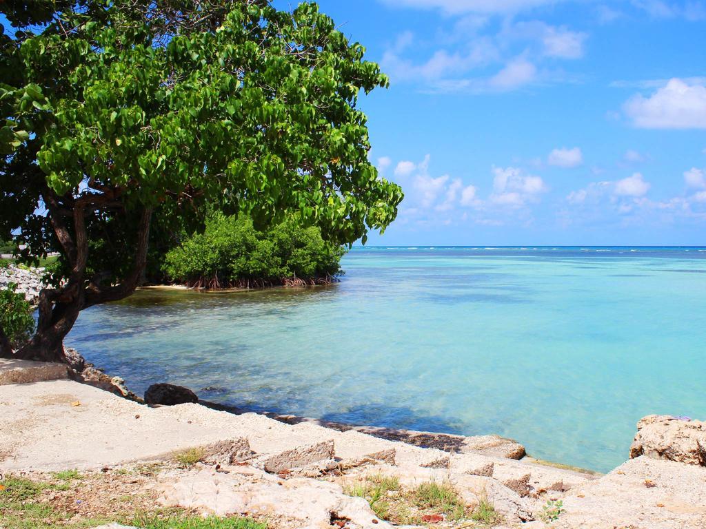 Hotel Reggae Reef Montego Bay