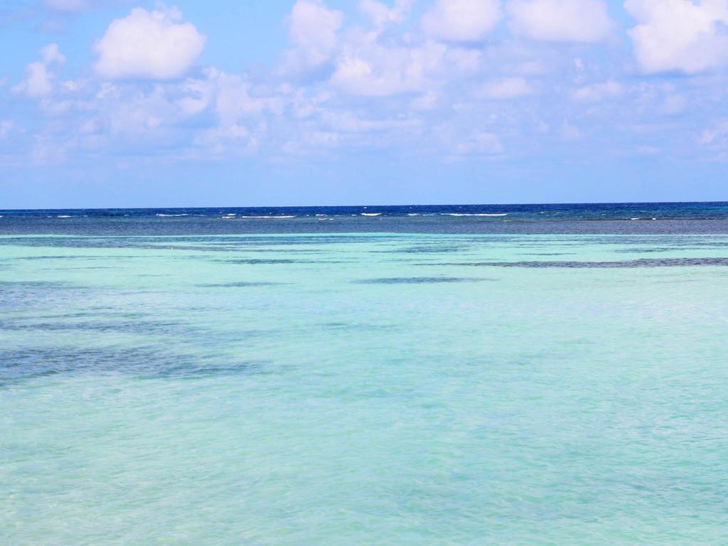 Hotel Reggae Reef 3*