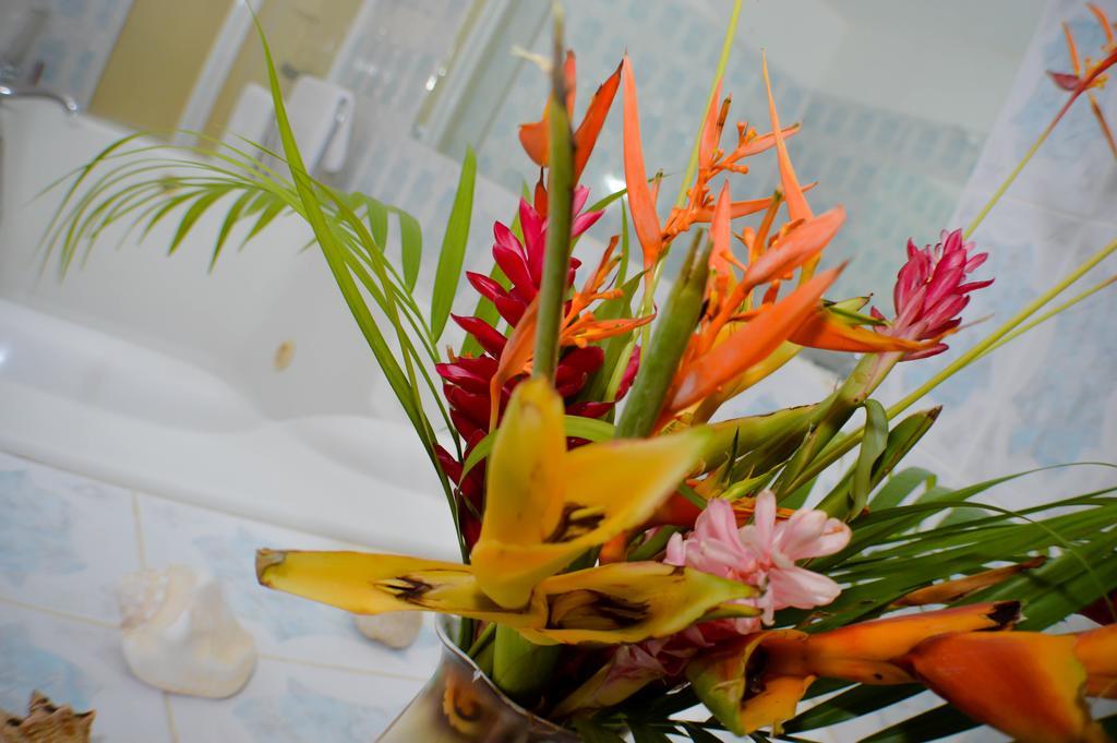 Ackee Tree Sea View Guest house *