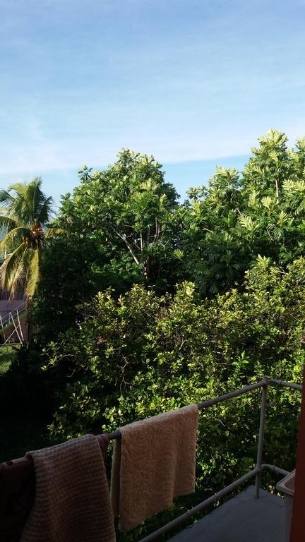 Dream Hostel Montego Bay