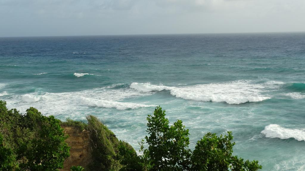Jamaican Colors Hotel 3*