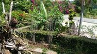 Tranquility Estate Bed And Breakfast 3*