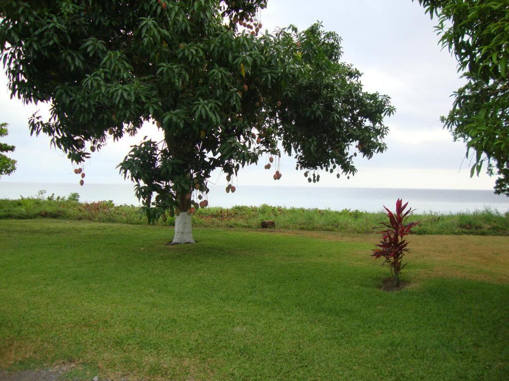 By The Sea Vacation And 3*