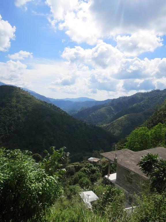 Mount Edge Gasthof Port Antonio