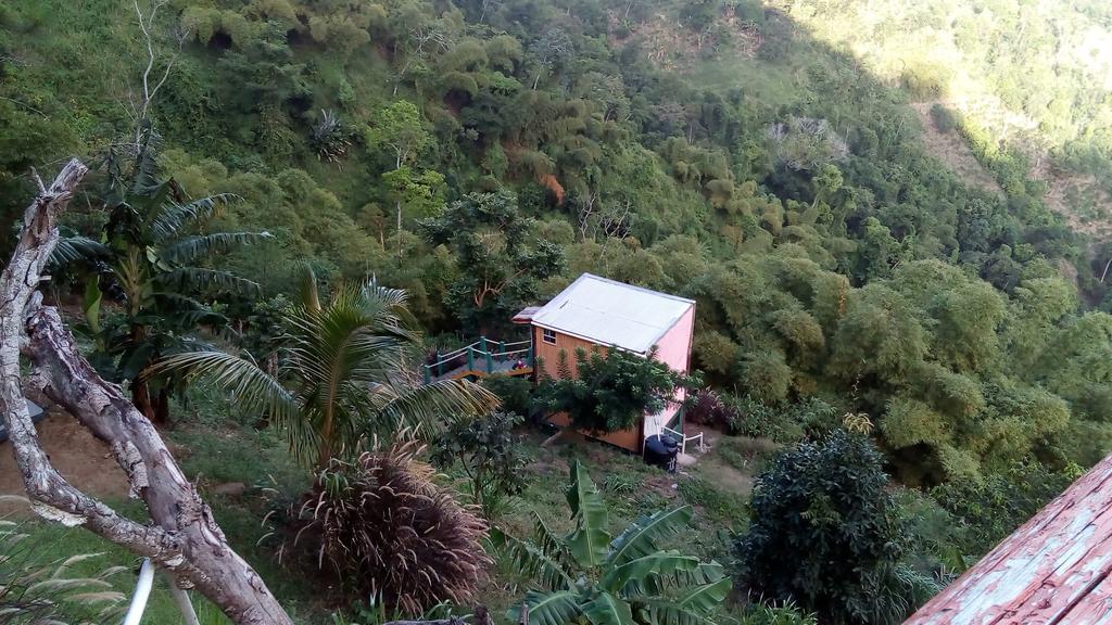 Lodge Blue Mountain Wilderness Retreat Port Antonio