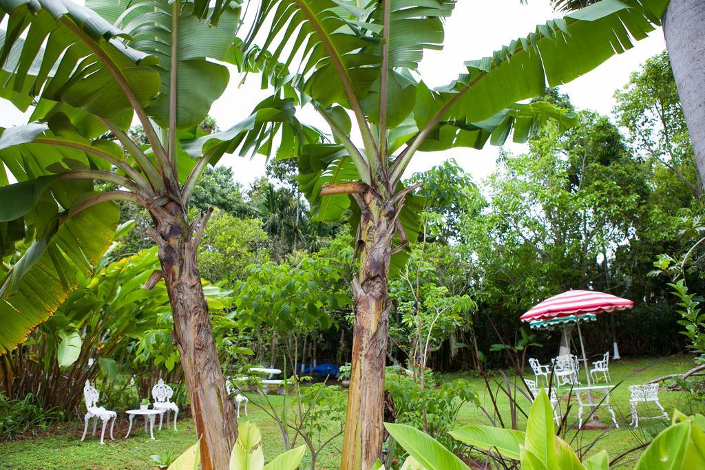 Casa Da Buena Vista Bed & Breakfast 3*