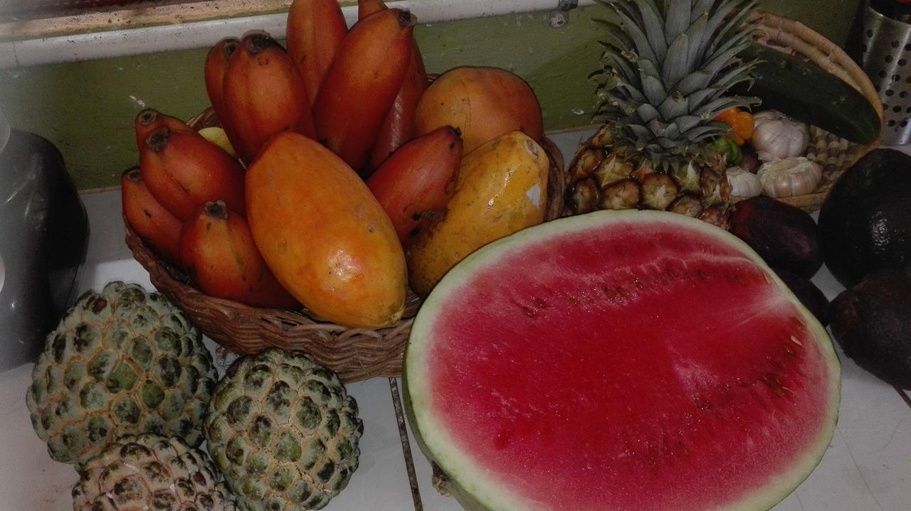 Guest house Can-jam Retreat