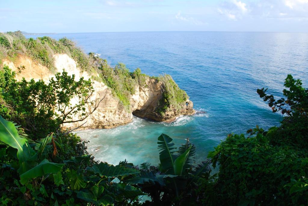 Jamaican Colors 3*