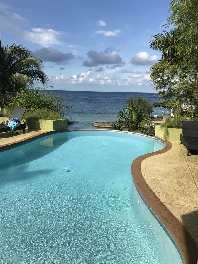 Alexanders Penthouse On The Ocho Rios