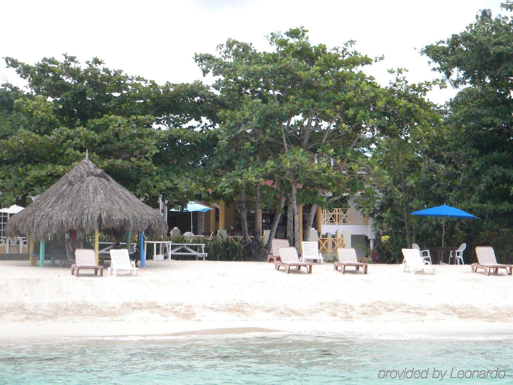 Coral Seas 2*