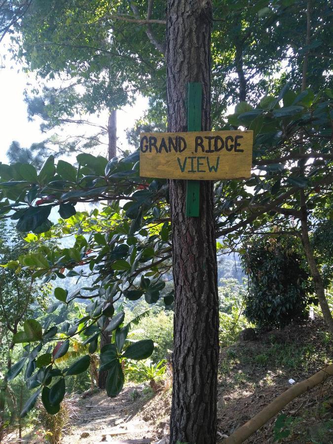 Lodge Blue Mountain Wilderness Retreat Port Antonio