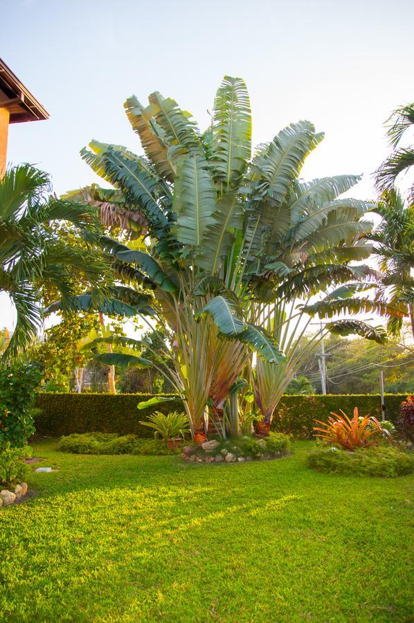 Pen Hall Bnb Ocho Rios Runaway Bay
