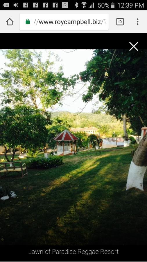 Hotel Paradise Reggae Spring Garden