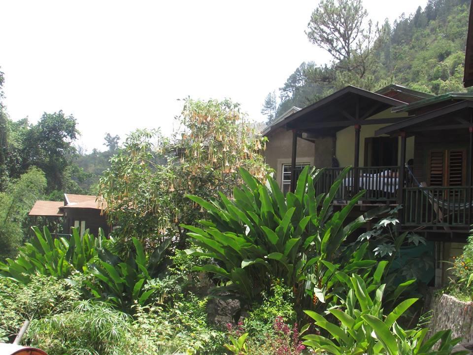 Rafjam Blue Mountain Bed & Breakfast