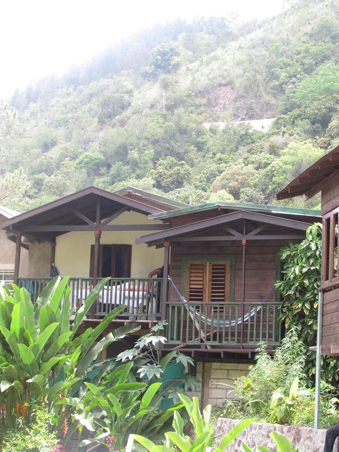 Bed & Breakfast Rafjam Blue Mountain *
