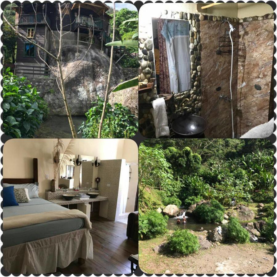 Bed & Breakfast Rafjam Blue Mountain Newcastle