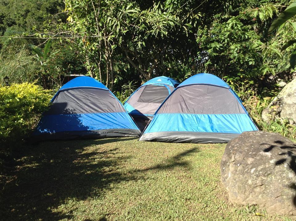 Bed & Breakfast Rafjam Blue Mountain *