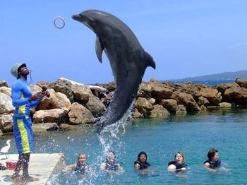 Hotel Ocho Rios At Coolshade