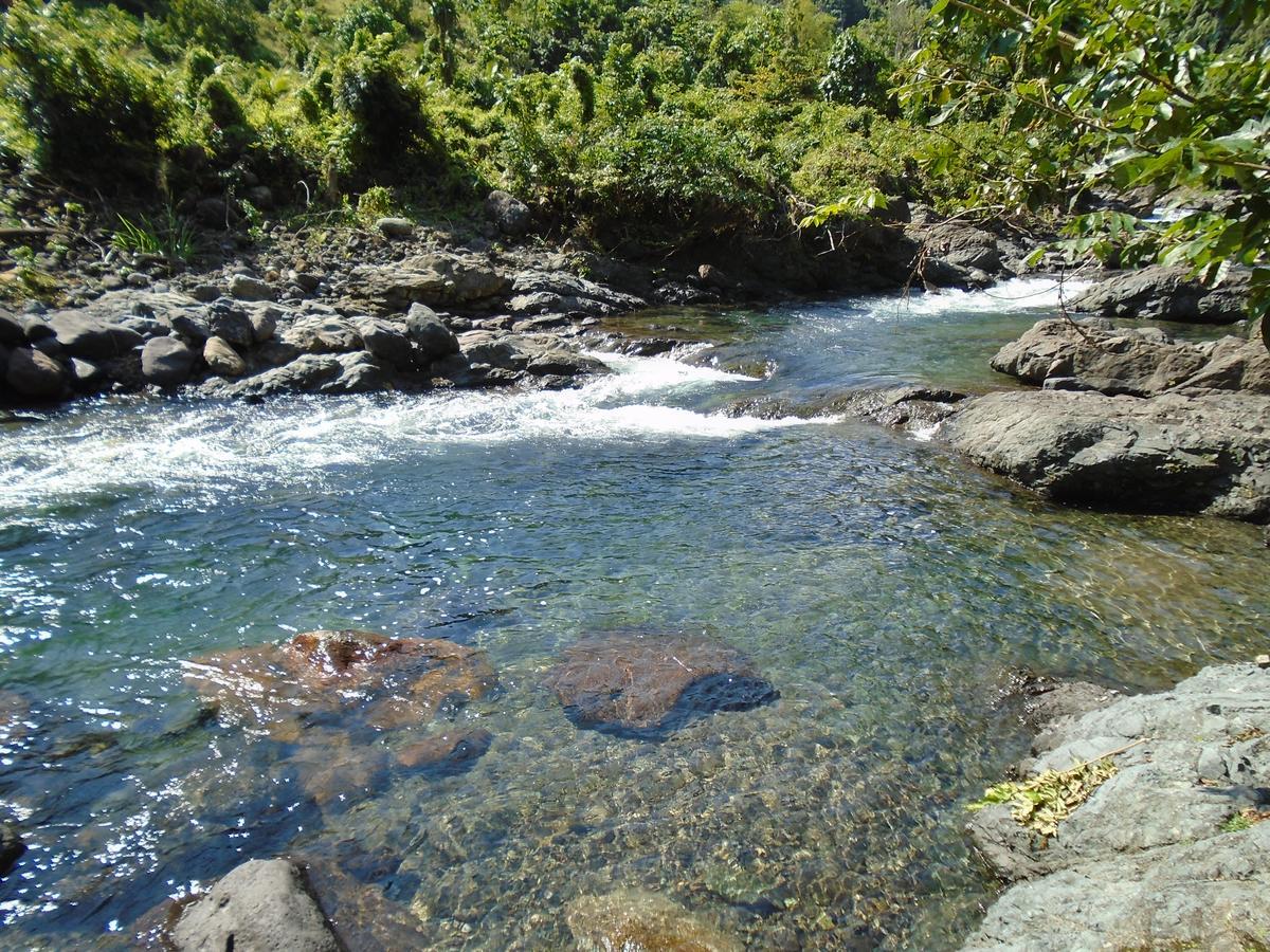 Portland Riverside Retreat Port Antonio