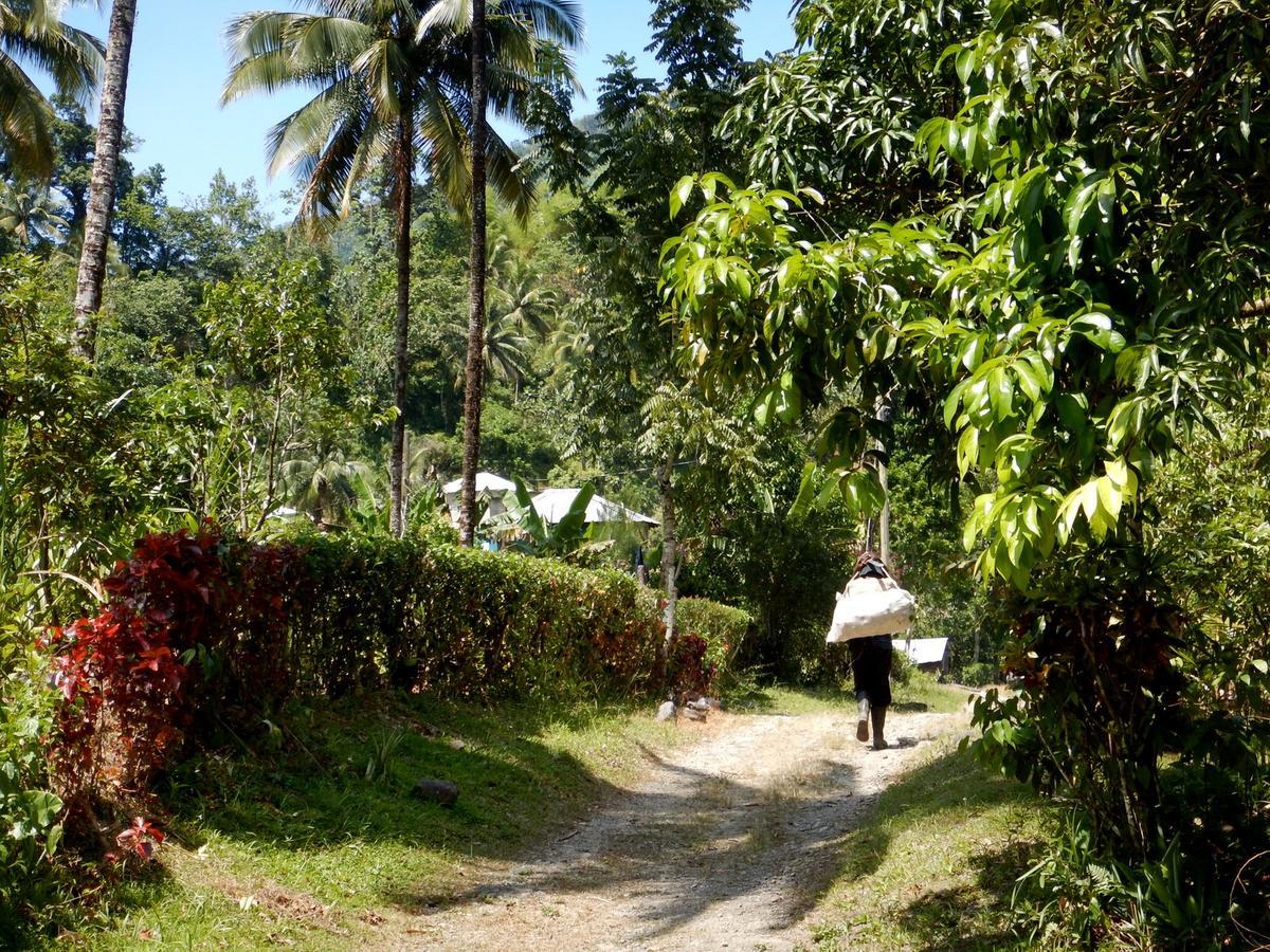 Portland Riverside Retreat Port Antonio