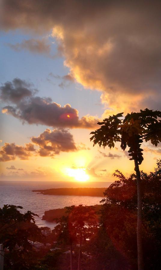 Caribbean Dawn Inn Port Antonio
