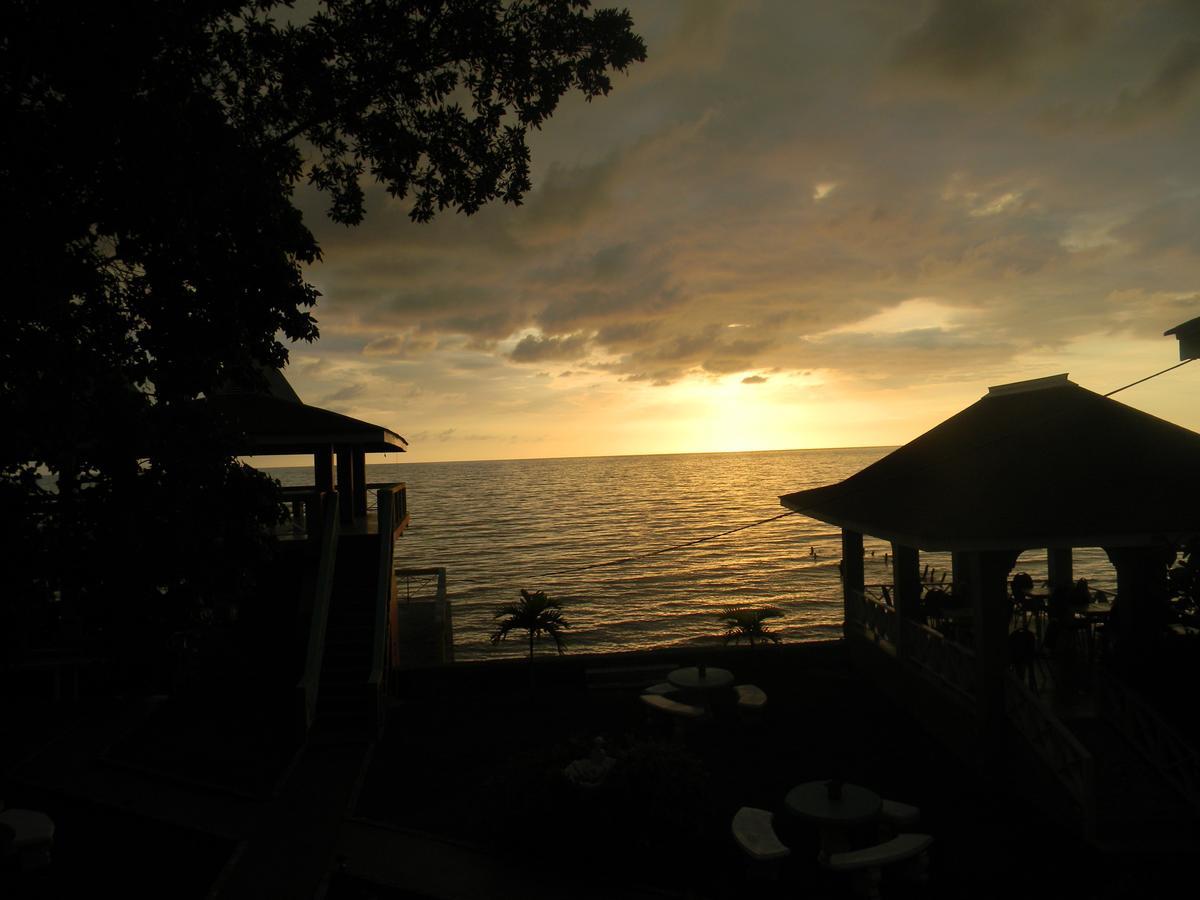 Bay Bluefields