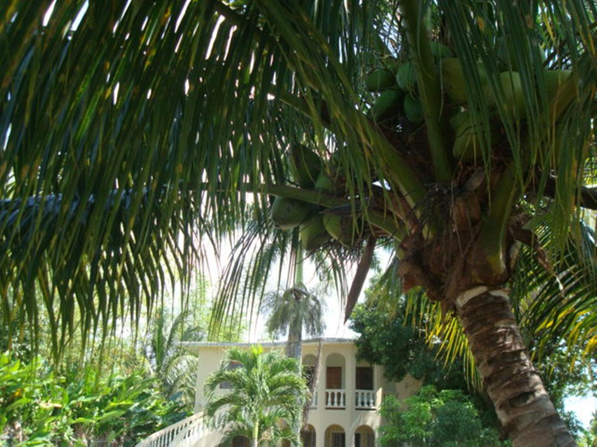 Ocean Wave Villa, 3* Negril