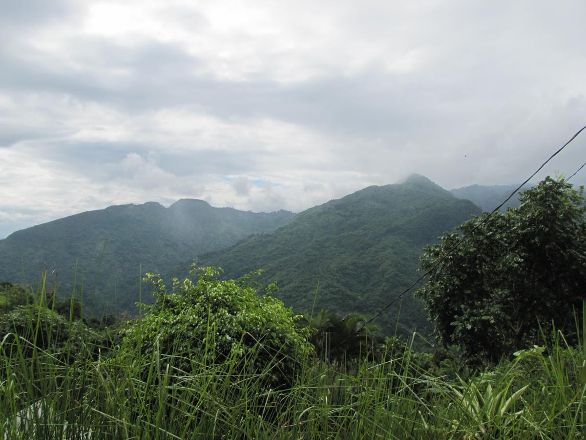 Blue Mountain Wilderness Retreat Port Antonio
