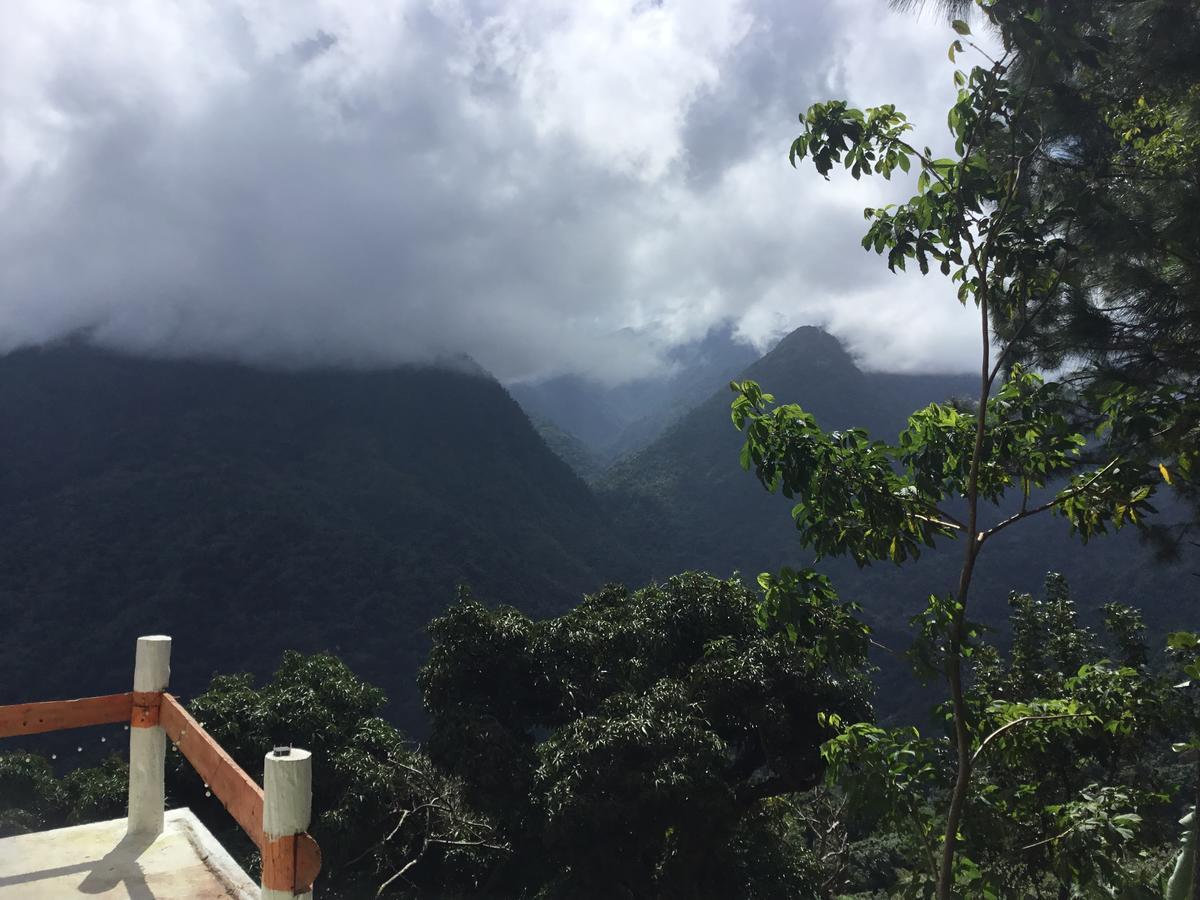 Blue Mountain Wilderness Retreat Port Antonio