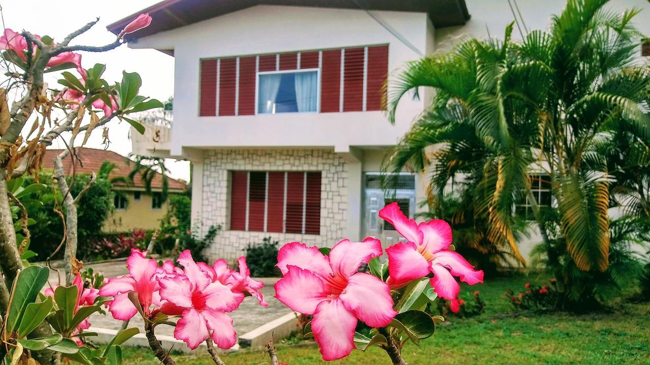 Jacks Hill Tropical Arcadia Kingston