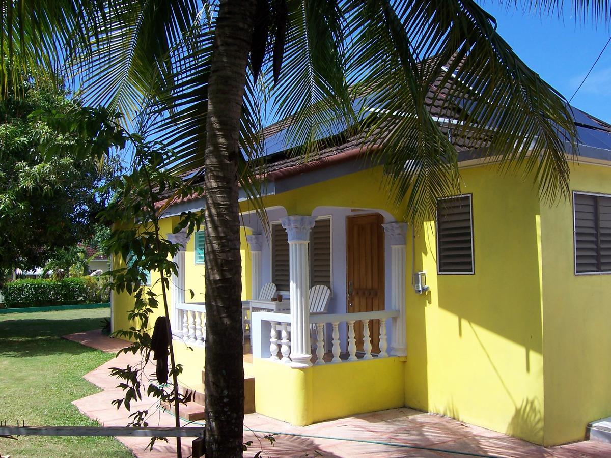 Almond Tree & Apartment Ocho Rios