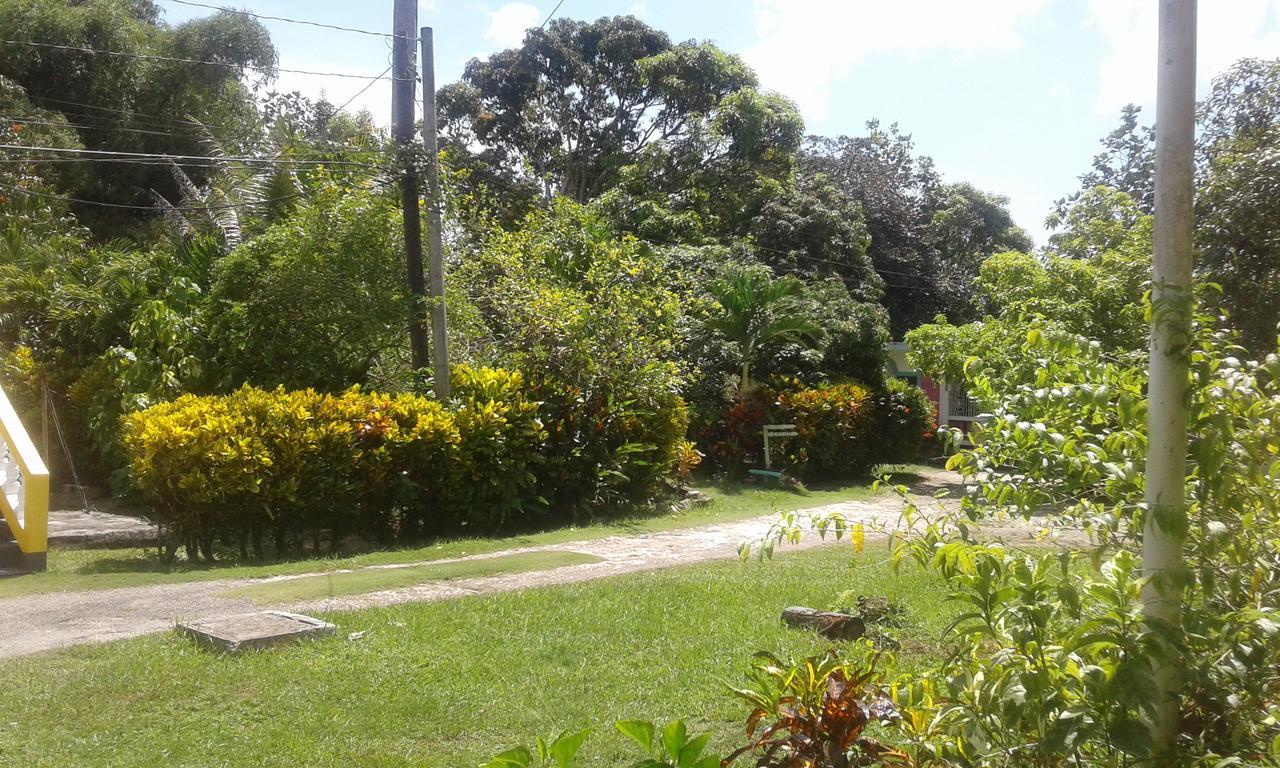 Lodge Golden Sunset Villas