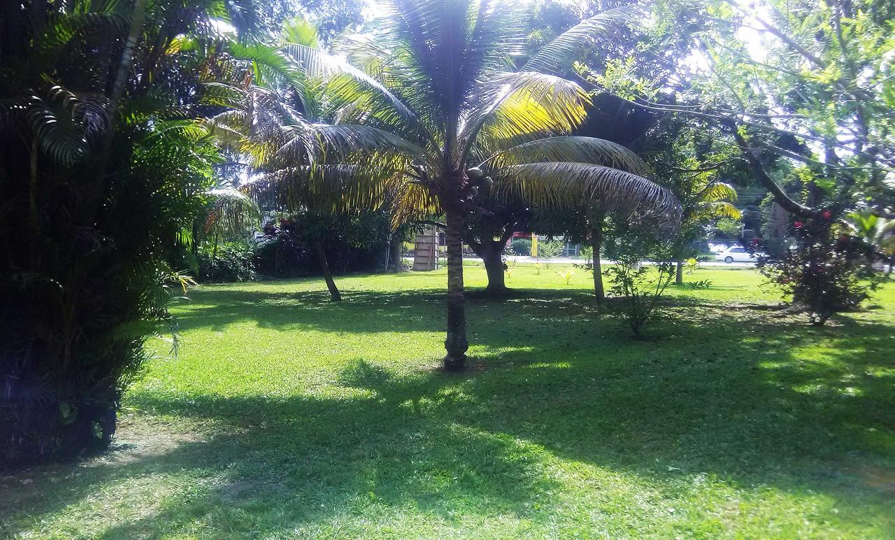 Cozy Coco Guest house
